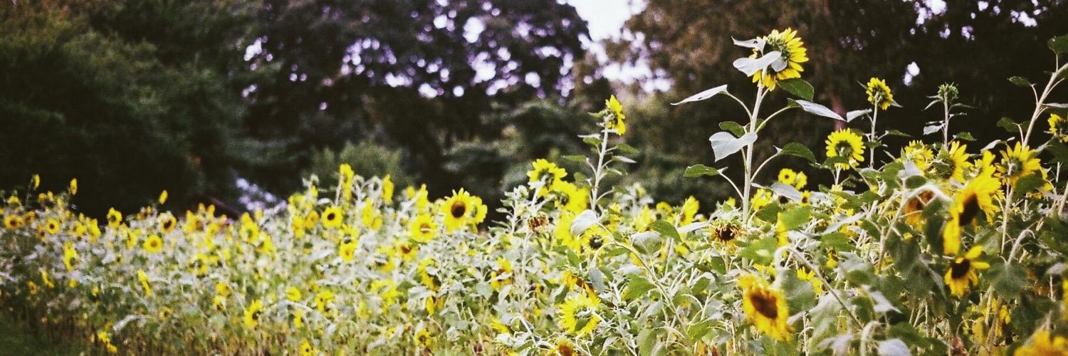EmPruett's profile banner image