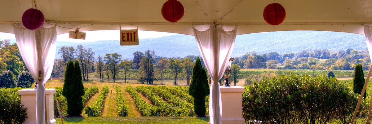 nancybauer's profile banner image