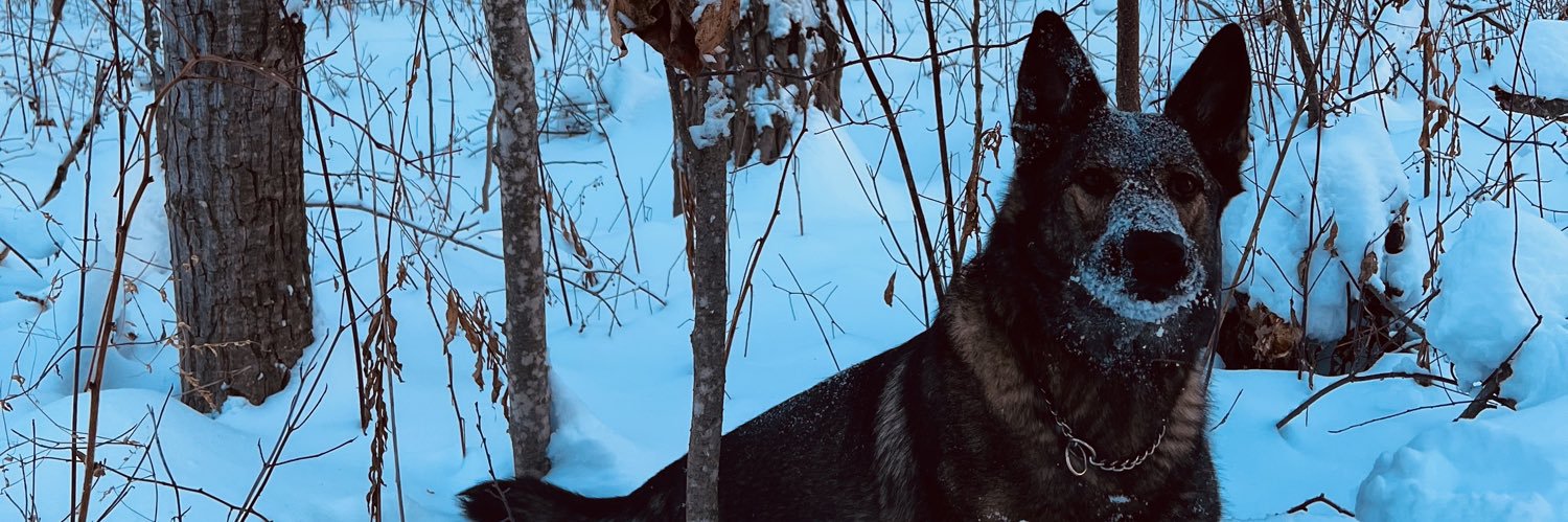 ONeilJoey's profile banner image