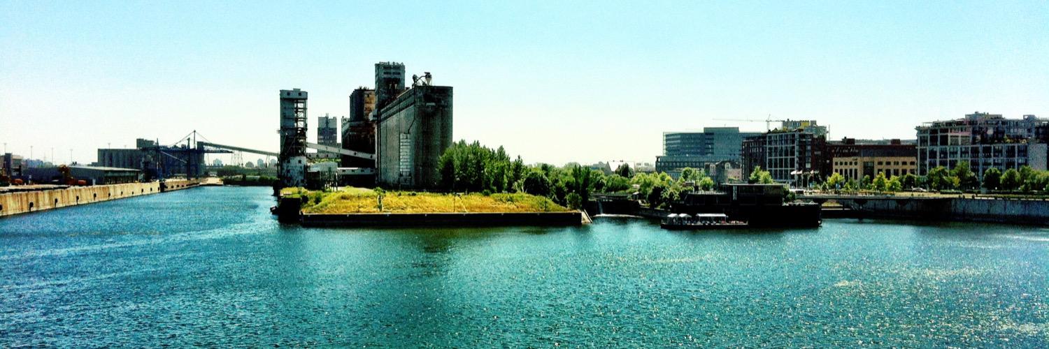 Roberto Rocha banner