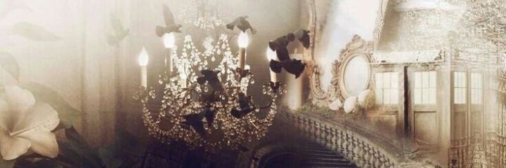 𝓐𝙇𝙄𝘾𝙀. banner