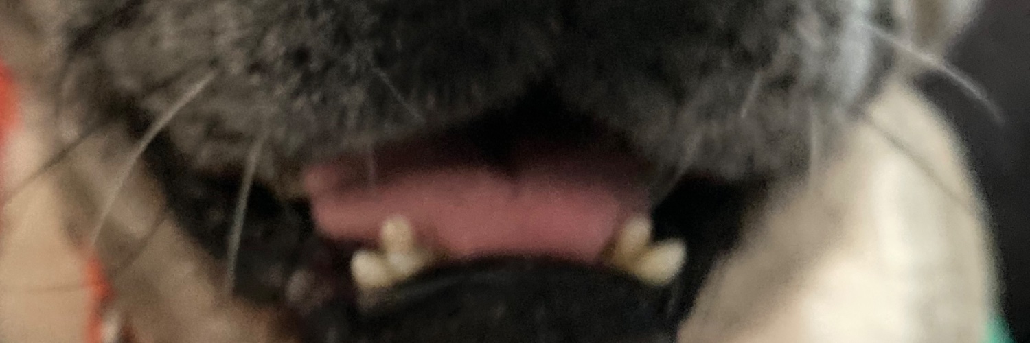 AndyTannehate's profile banner image