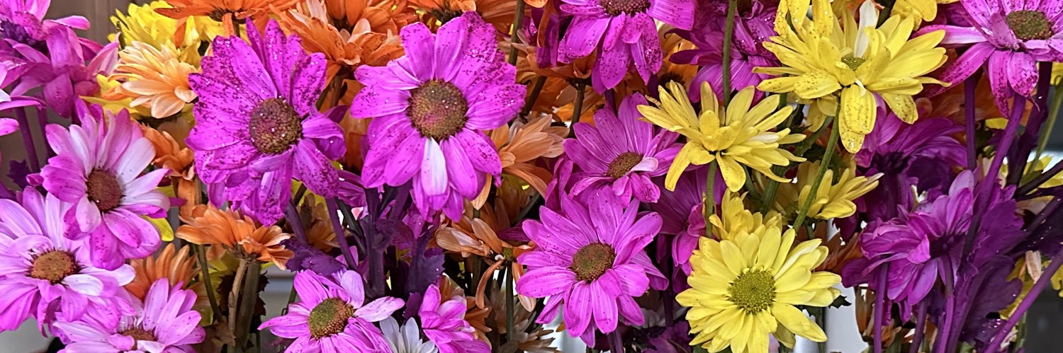 Ruth_Writes's profile banner image