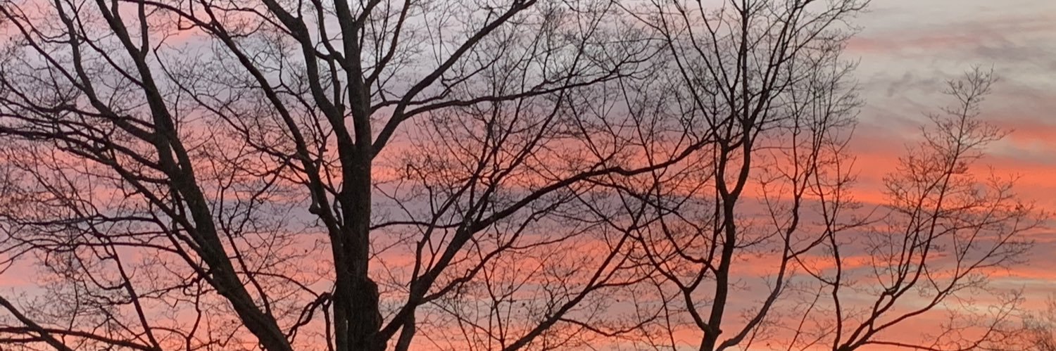 Balanced Explorations banner