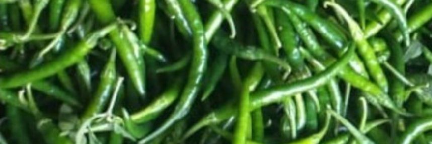 हरा मिर्चा banner