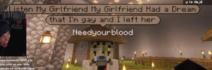 ✭ 𝐅lynn ✩ #QSMP2 banner