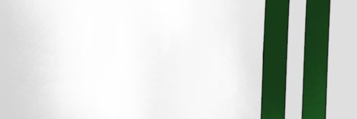 Pokemon Algeria banner