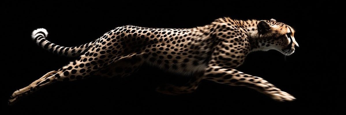 Cvp__'s profile banner image