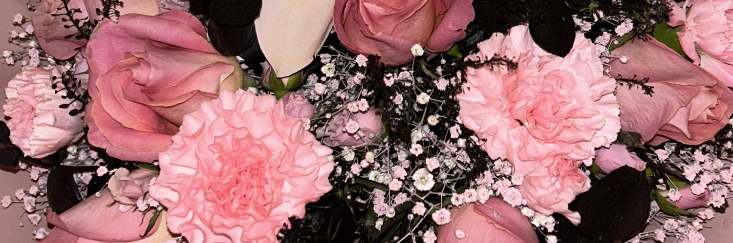 lauraeorbe's profile banner image