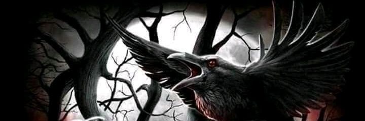 slimviper4's profile banner image