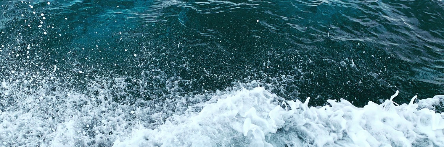Erick. banner