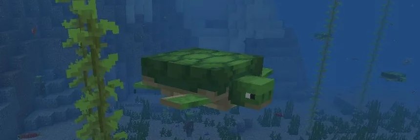 shiro_turtle's profile banner image