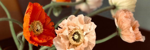 margotaustin Profile Banner