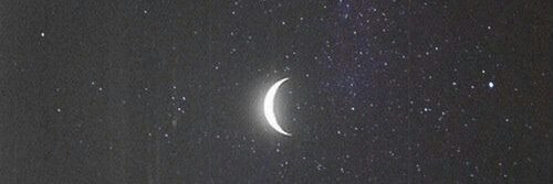 crazyjanine18's profile banner image