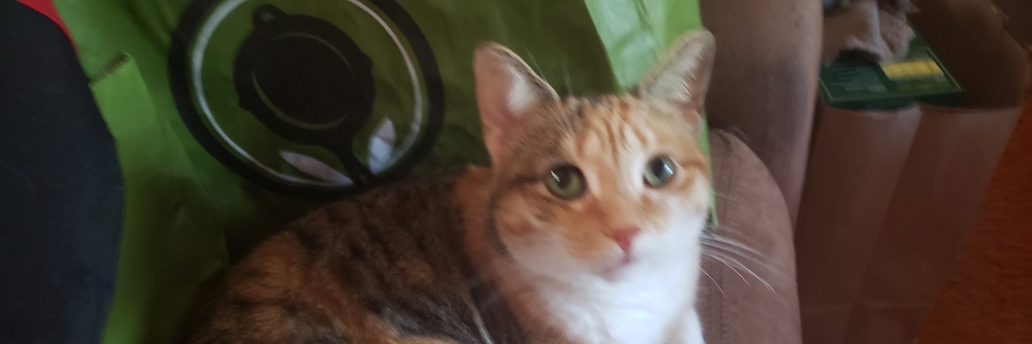 Binxyboy@homefornow banner