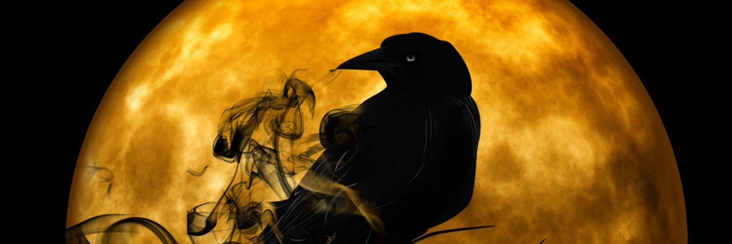 Your_Spooky_Girl banner