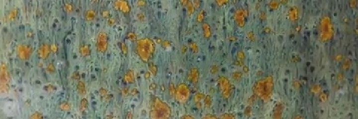 leeniuga's profile banner image