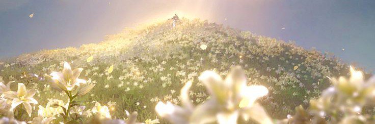 arpiroseane's profile banner image
