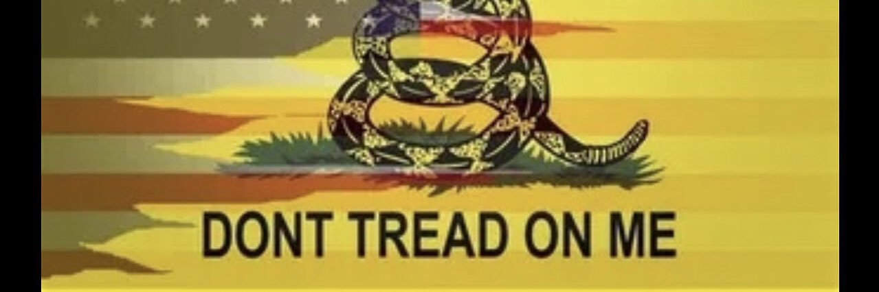 Bull Viper 🇺🇸🌲🚜✈️ banner