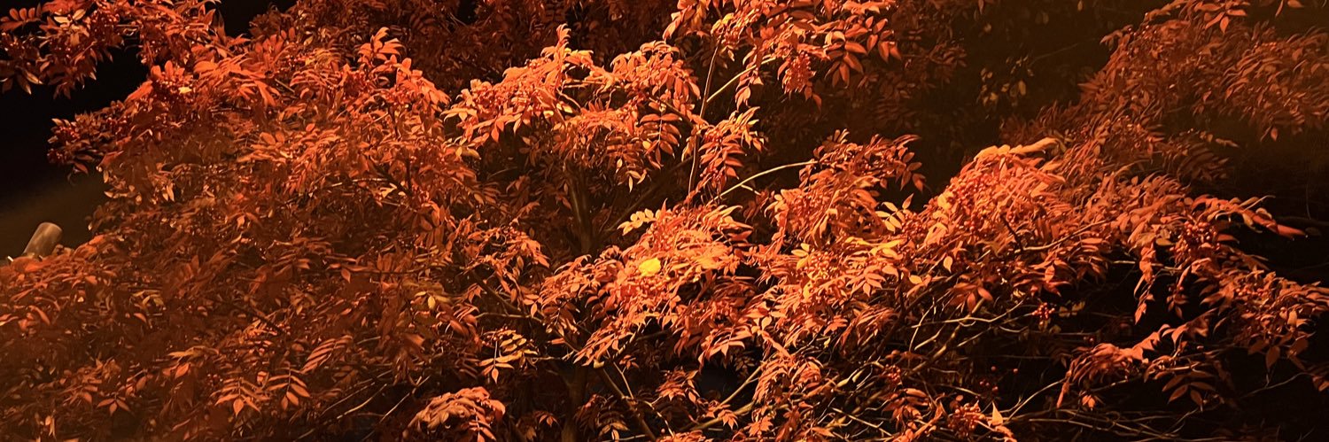 鼬丸🐍【お仕事募集中】 banner