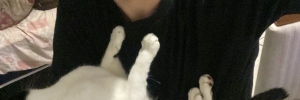 mikeytypeshi Profile Banner