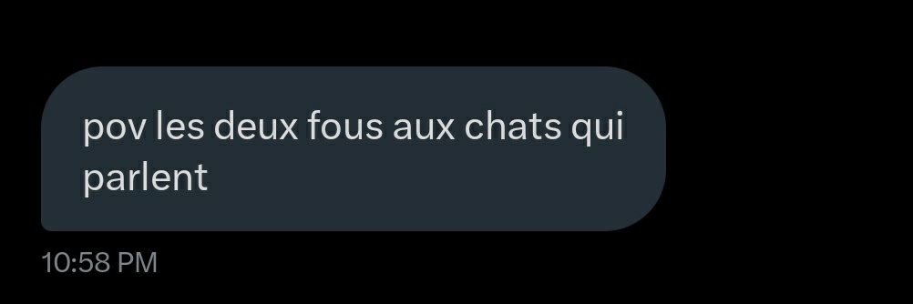 miaoutthieu banner