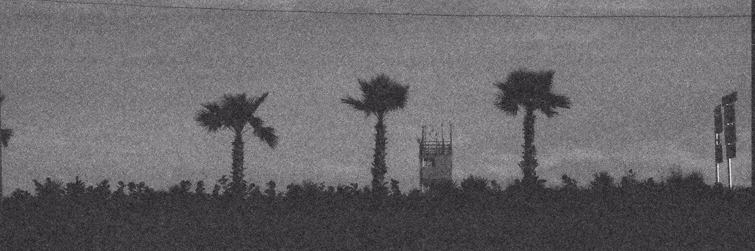 𝚃𝚑𝚎 𝚛𝚎𝚊𝚕 𝚃𝚒𝚖 𝙶𝚘𝚠 banner