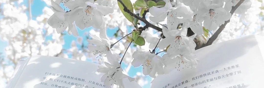 眠眠大王驾到 banner