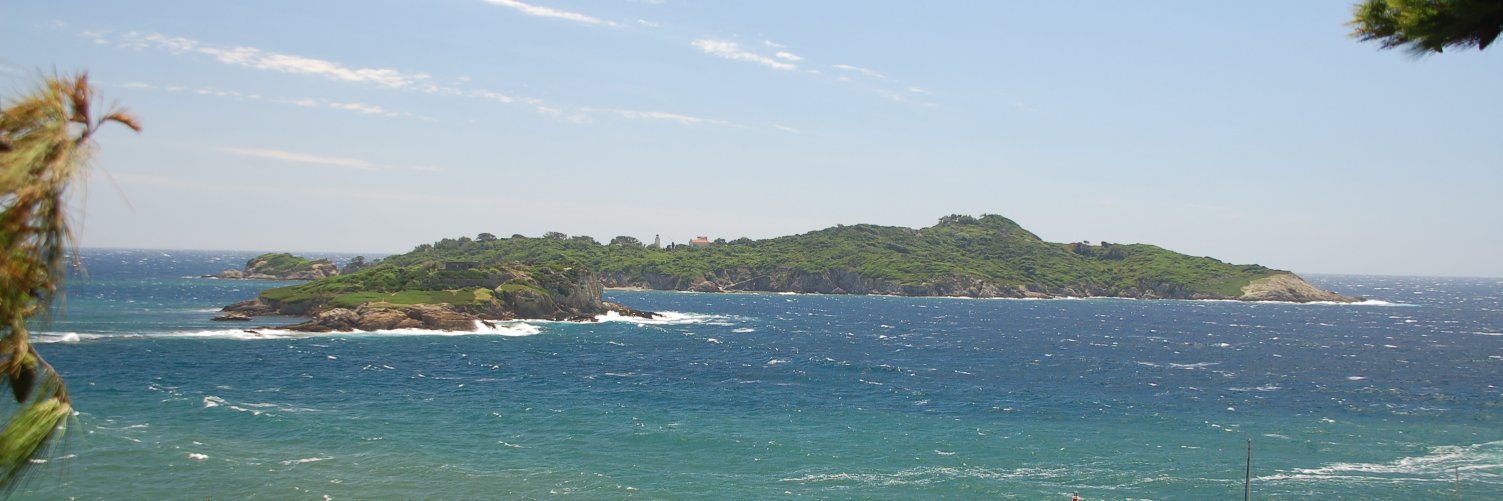 Lacouale's profile banner image