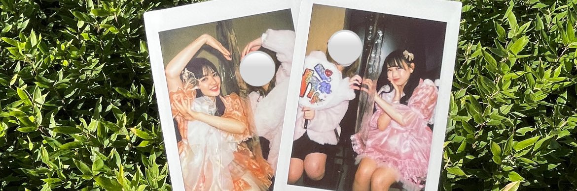 ponchammmmm's profile banner image