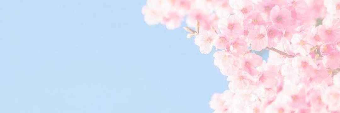 CharlieLag72732's profile banner image