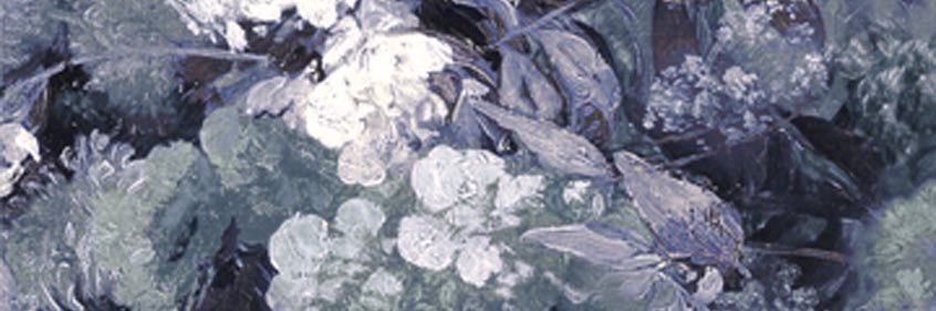 Biting and Clawing banner