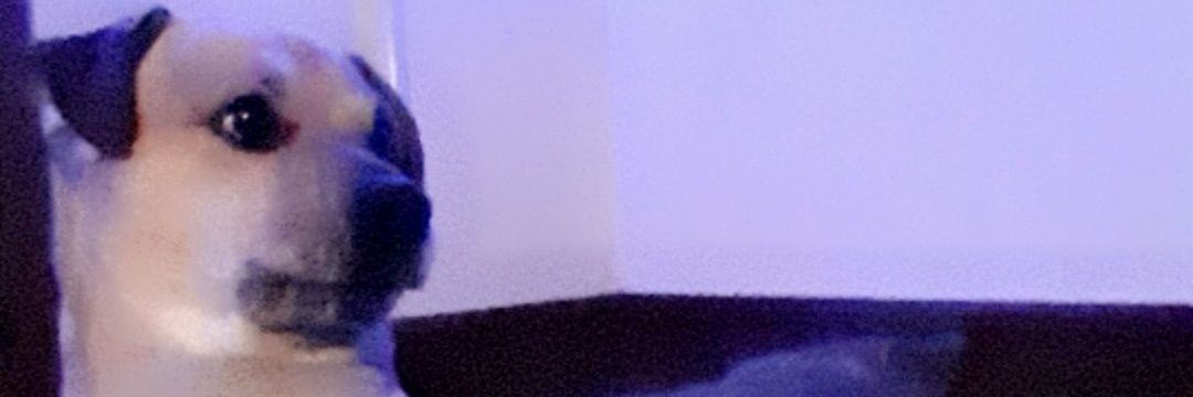 TEDDY KRUEGAR banner