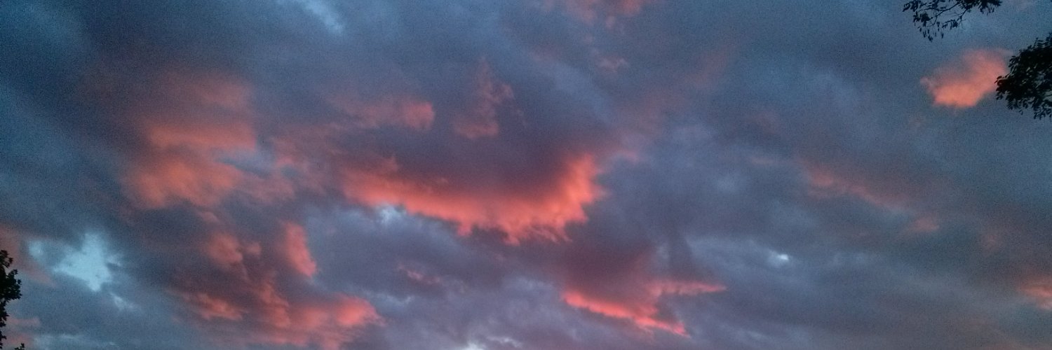 SimonaRebolj's profile banner image