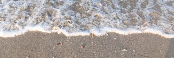 _imsea_ Profile Banner