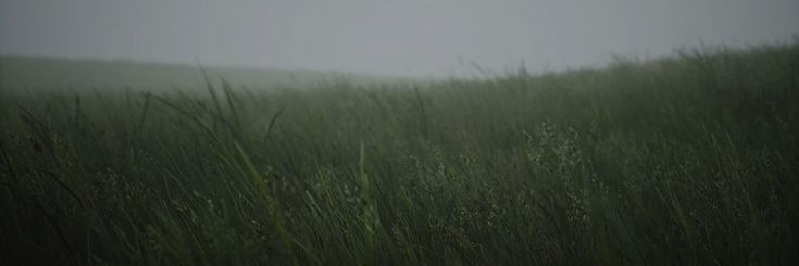 ᴠᴏɪᴅ-ᴋᴜɴ banner