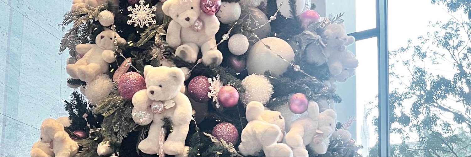 raimelty's profile banner image