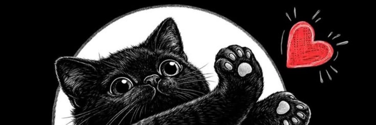 negre4100's profile banner image