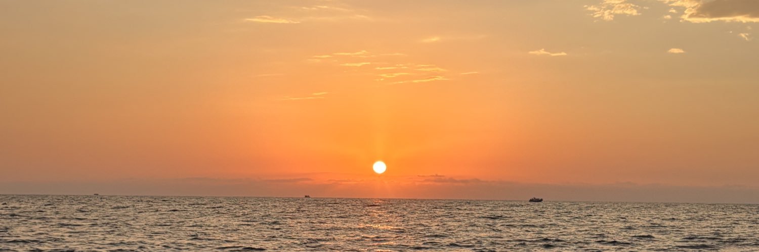 annlizardi's profile banner image