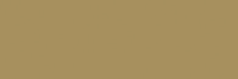 ᅠᅠᵖᵉʳˢᵒⁿᵃˡ ᵃˢˢⁱˢᵗᵃⁿᵗ 𖹭 𝙄𝙎𝘼𝘽𝙀𝙇𝙇𝙀 banner