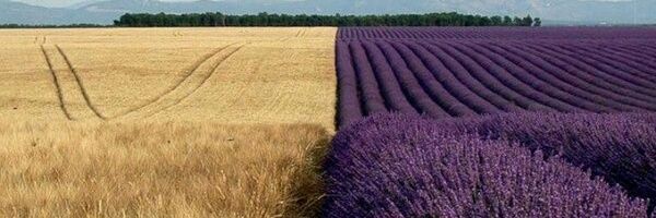 PabloUrio's profile banner image