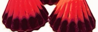 raika1933's profile banner image