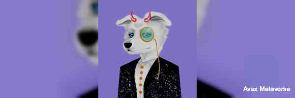 avametaverse's profile banner image