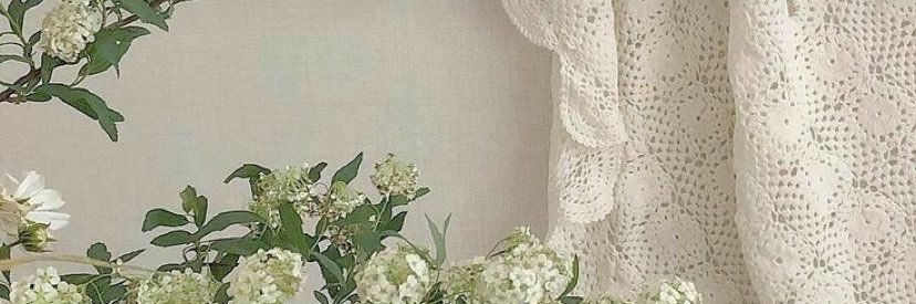 cat banner