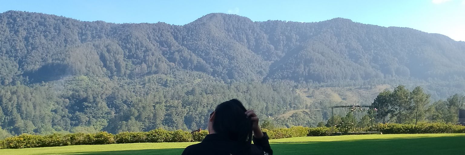 ooliyc's profile banner image