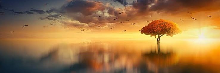 Bintangsetyaaji's profile banner image