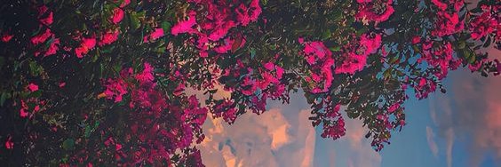 theSenyofc___'s profile banner image