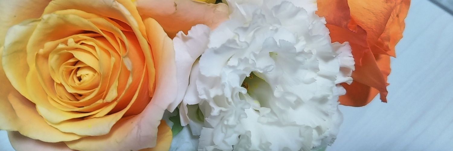 adappe's profile banner image