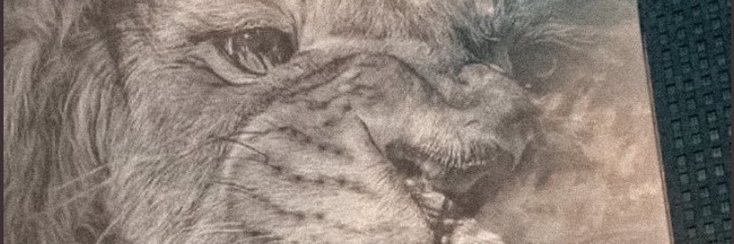 ferdigundogdu05's profile banner image
