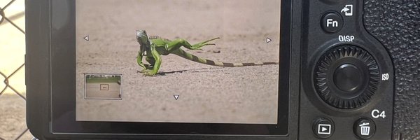 MorganGivensOU Profile Banner